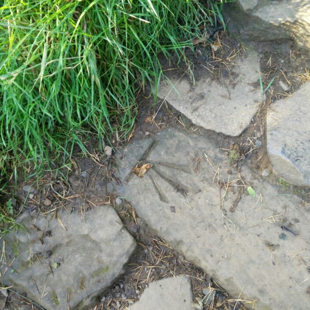 Meet your Posher, Jean